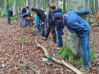 Die Kinder und Jugendlichen stehen im Wald und warten neugierig auf die rollende Kugel in der Waldmurmelbahn.